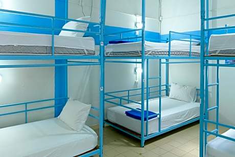 Bed in 8-Bed Mixed Dormitory Room