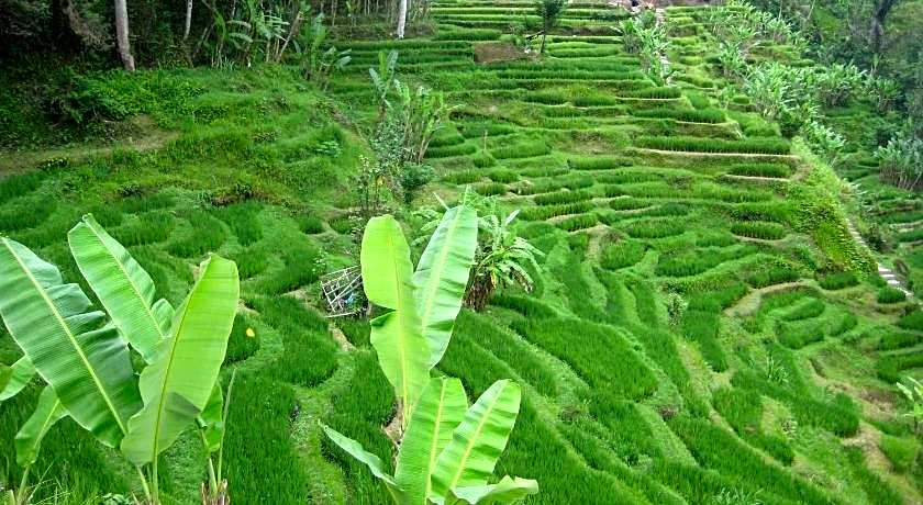 Bersila La Maison Du Bonheur