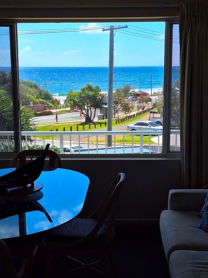 Pandanus Coolum Beach