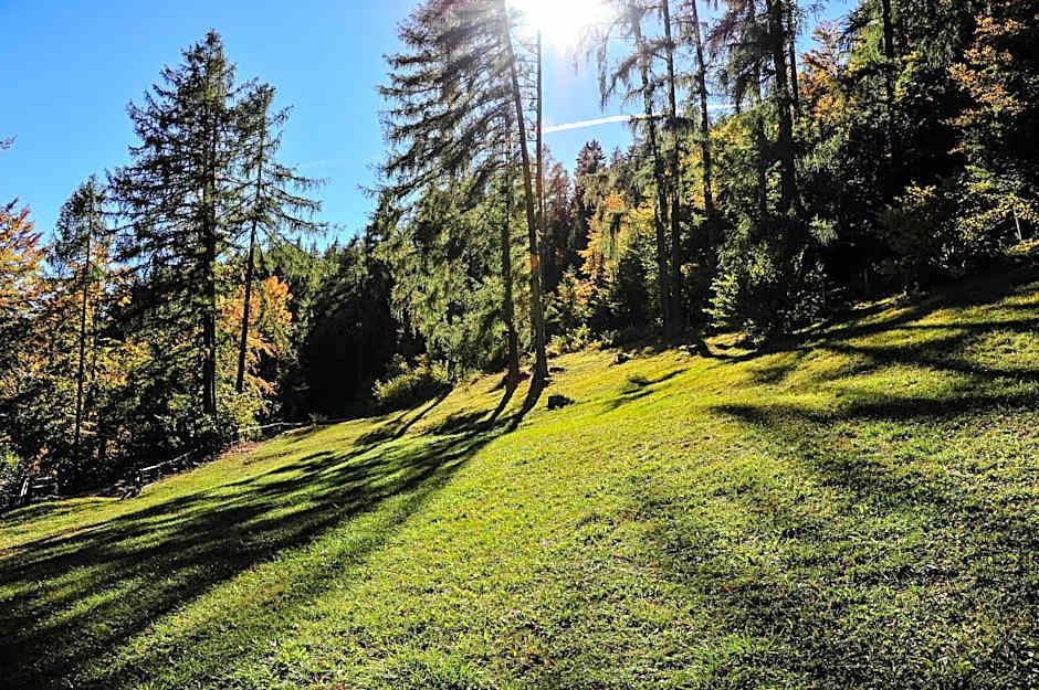 Hotel Ludwigshof & Luvina