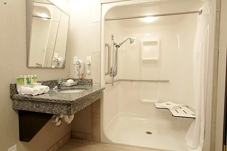 Photo 1 of 3 of 1 King Bed, Mobility Accessible, Roll in Shower