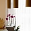 Grand Chalet delle Rocche