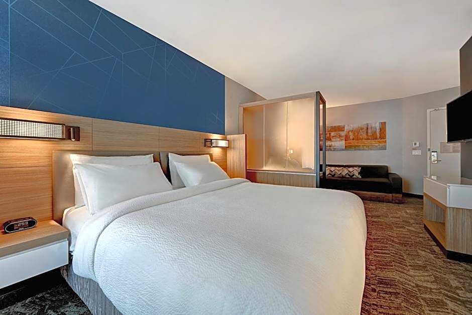 SpringHill Suites by Marriott Albuquerque University Area