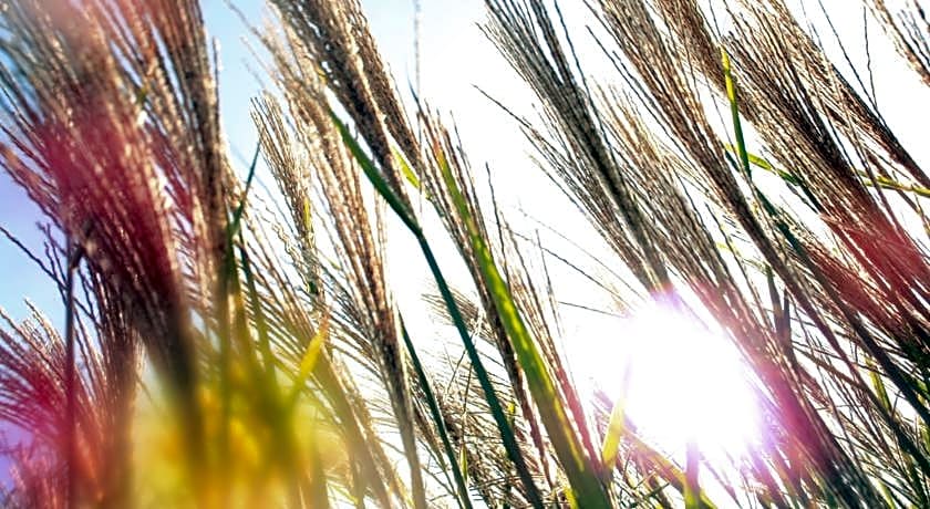 Boutique hotel - Sun House Banovci