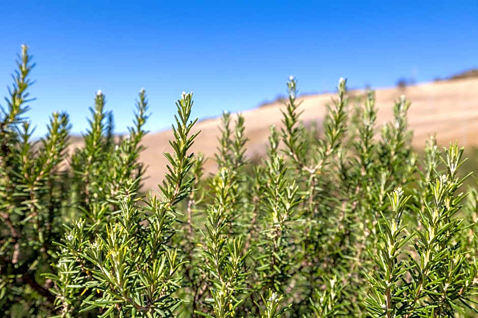 Baglio Saccù apartment & spa