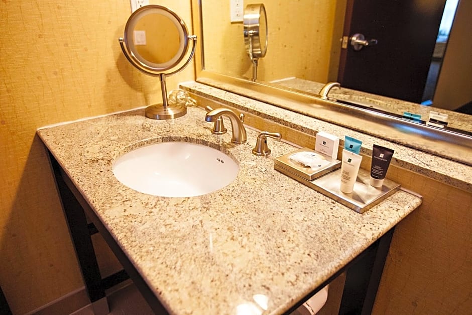 Crowne Plaza Houston Galleria Area By IHG