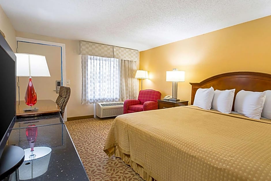 Rodeway Inn Metro Airport