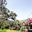 Bahar Bahce Datca