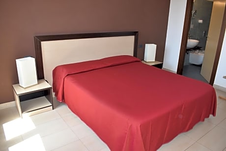 Large Double or Twin Room