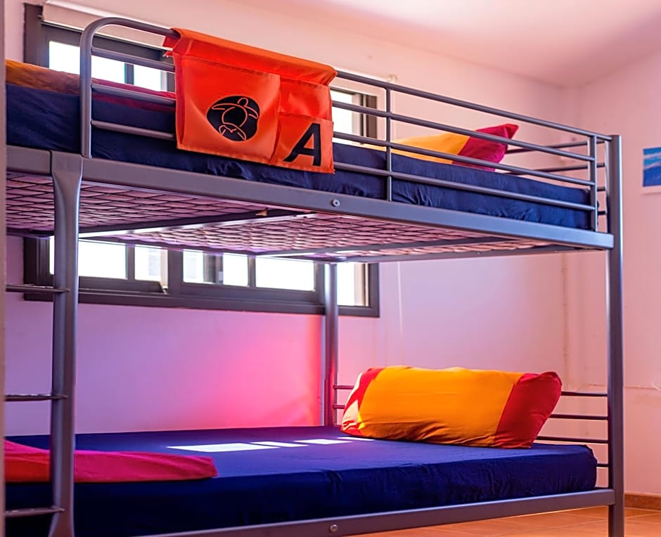 La Tortuga Hostel