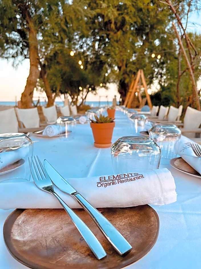 Eco Beach And Magic Garden Hotel