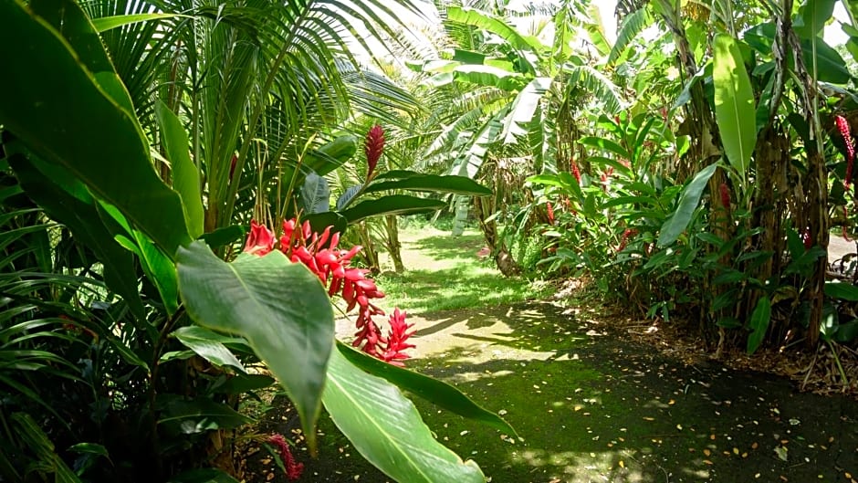 Martinique Treehouse
