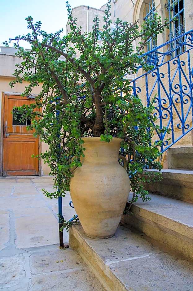 Jerusalem Garden Home