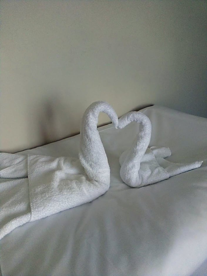 Family Hotel Novel City