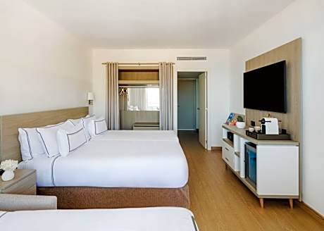 Double Room with Sofa Bed (3 Adults)