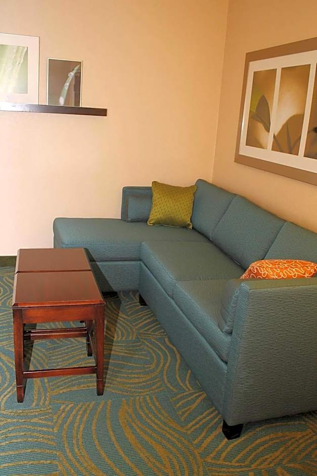 SpringHill Suites by Marriott Morgantown