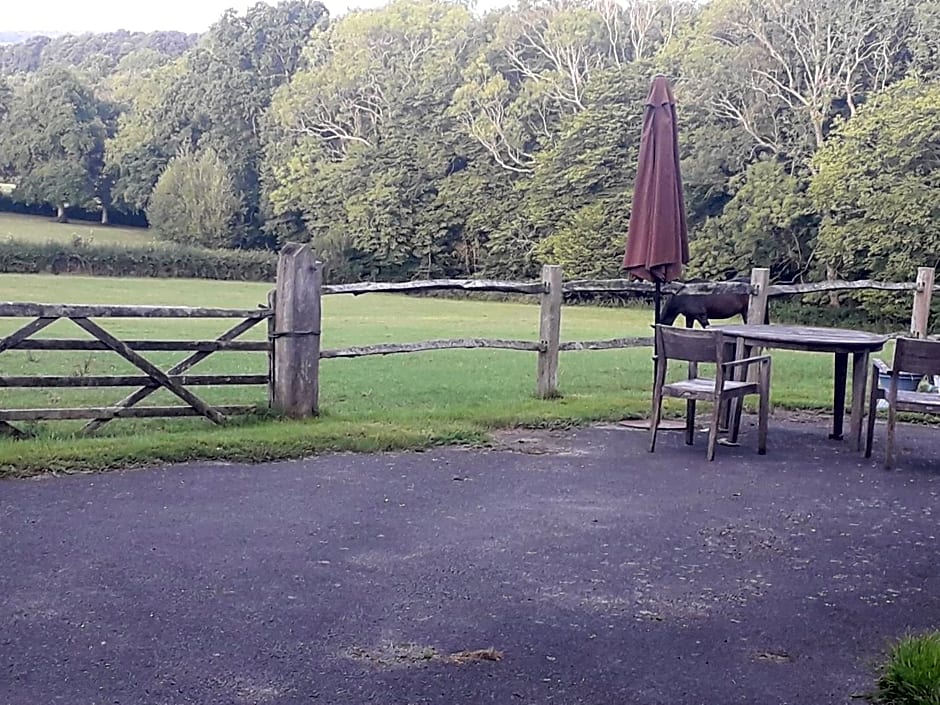 Moaps Farm B&B support small business, welcome, check in from 5 pm