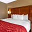 Comfort Suites Knoxville North