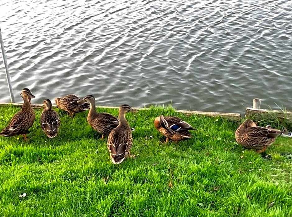 Tunstall view Caravan Holidays at Sand le Mere