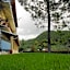 Anemona Studios