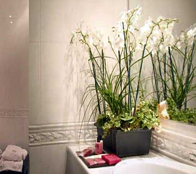 Hotel Motel Del Duca-Pavia