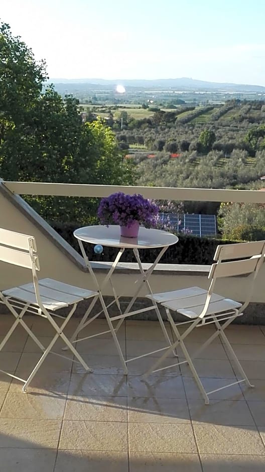 La staccionata bianca