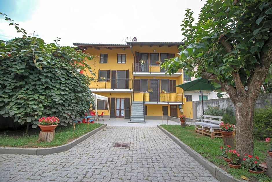 Spighe Paglia e Girasole