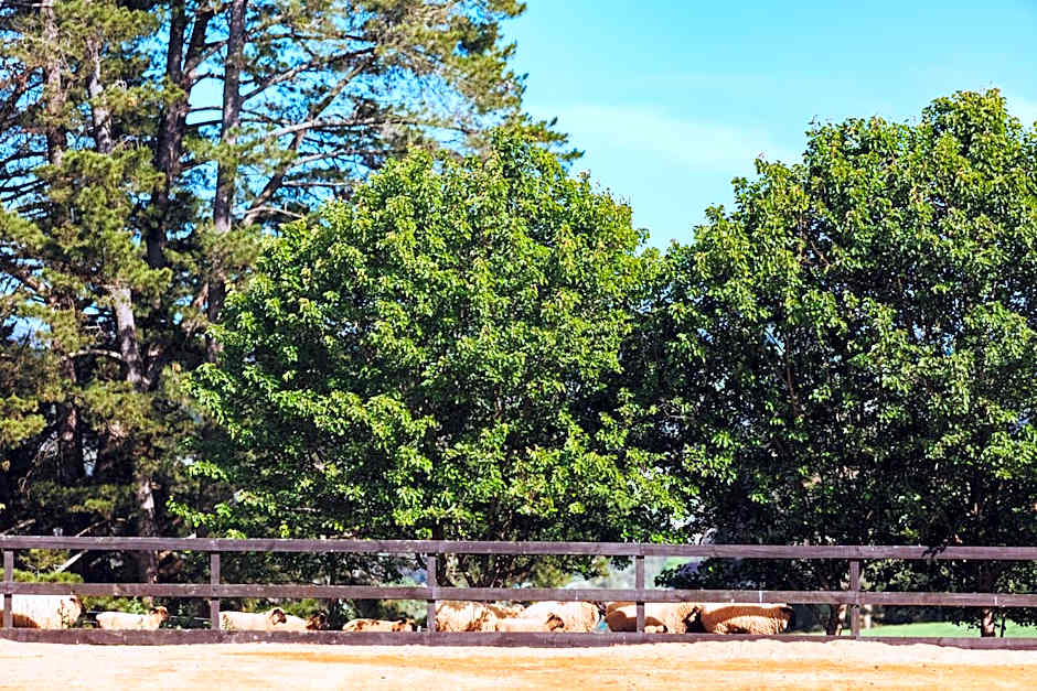 Dalblair Bed & Breakfast