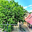 Gästehaus Craintaler Mühle B&B
