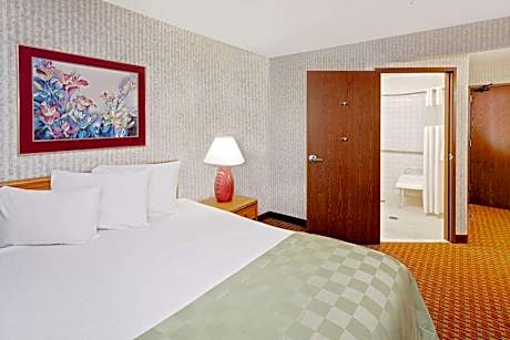 Queen Room - Disability Access - Non-Smoking