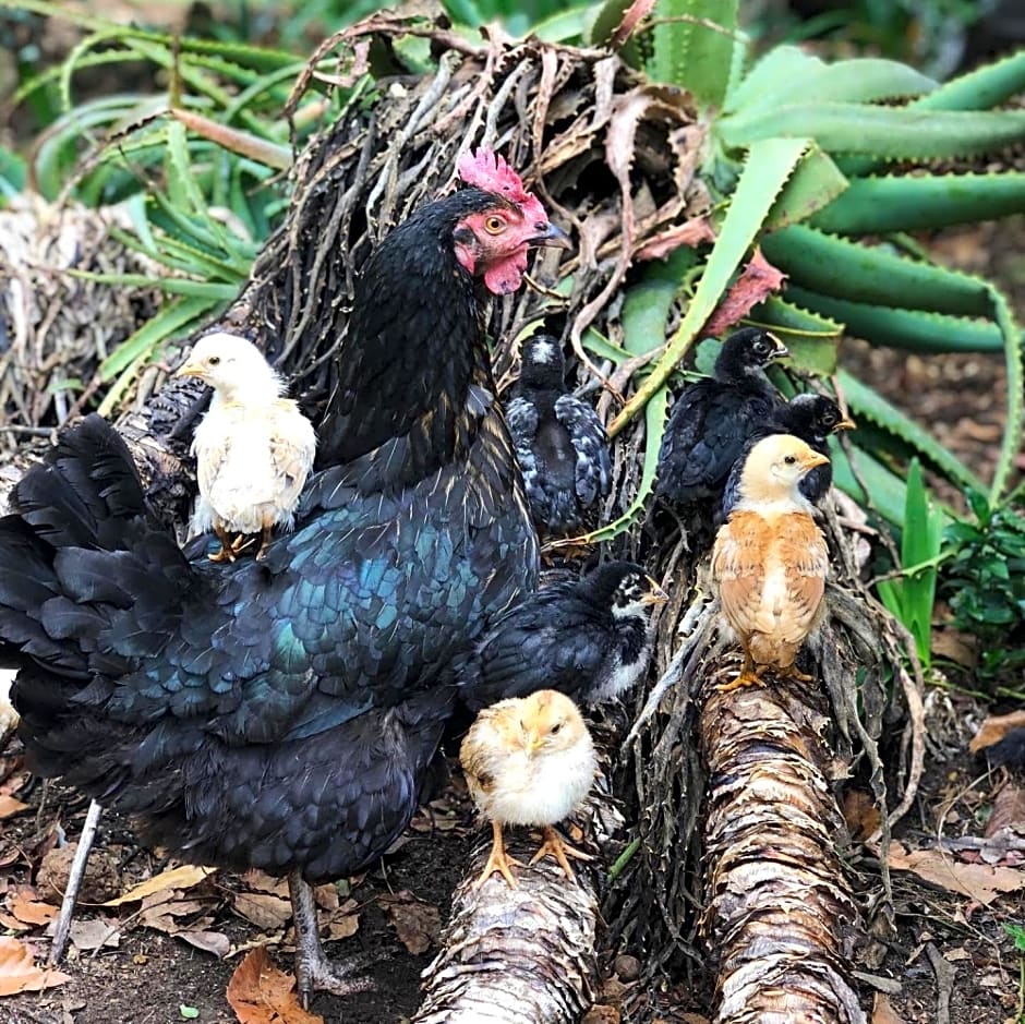 Tegwaan Country Getaway