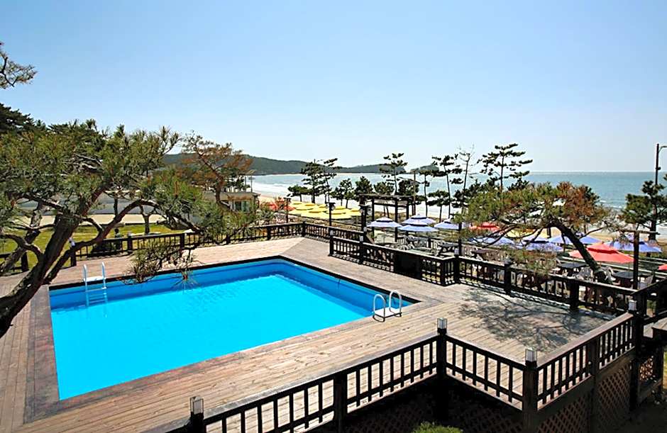 Hotel Mallipo