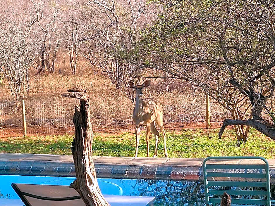 Call of the Wild Lodge