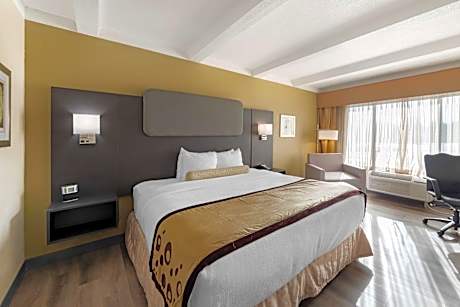 King Room - Non-Smoking