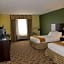 Holiday Inn Express Hotel & Suites Dumas