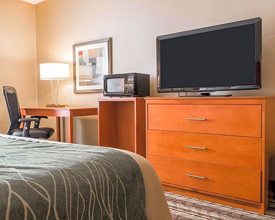Comfort Inn Metro Airport Romulus