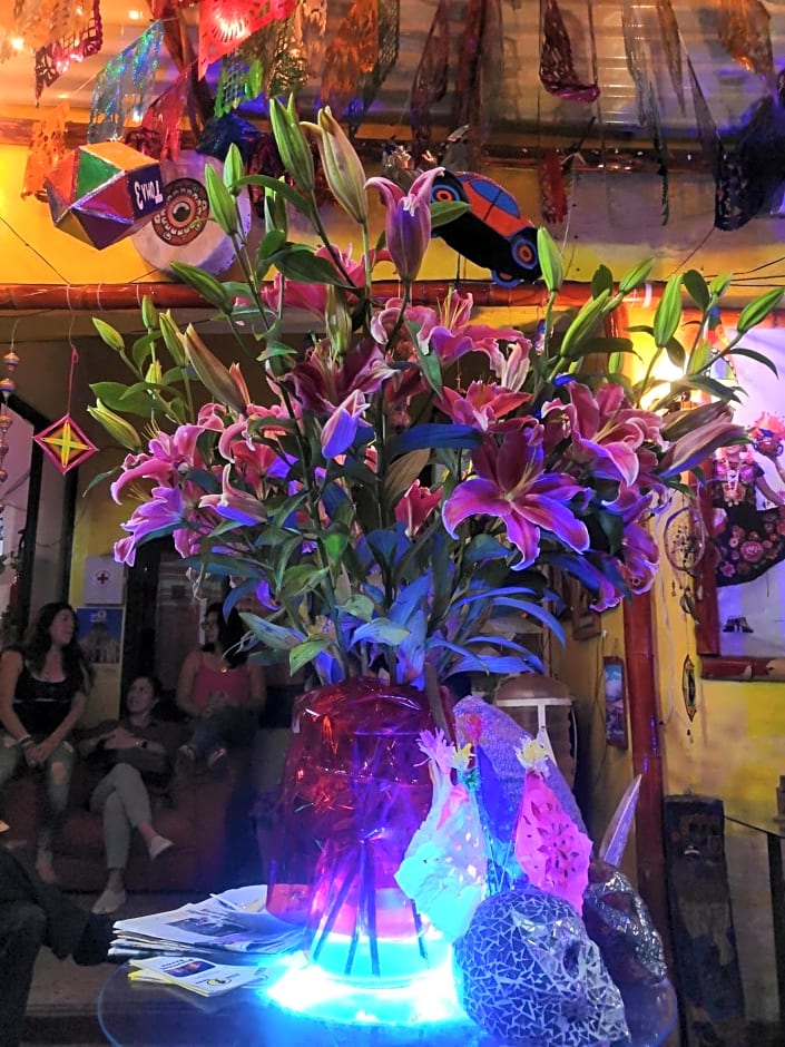 Hostal Oaxaca Magic