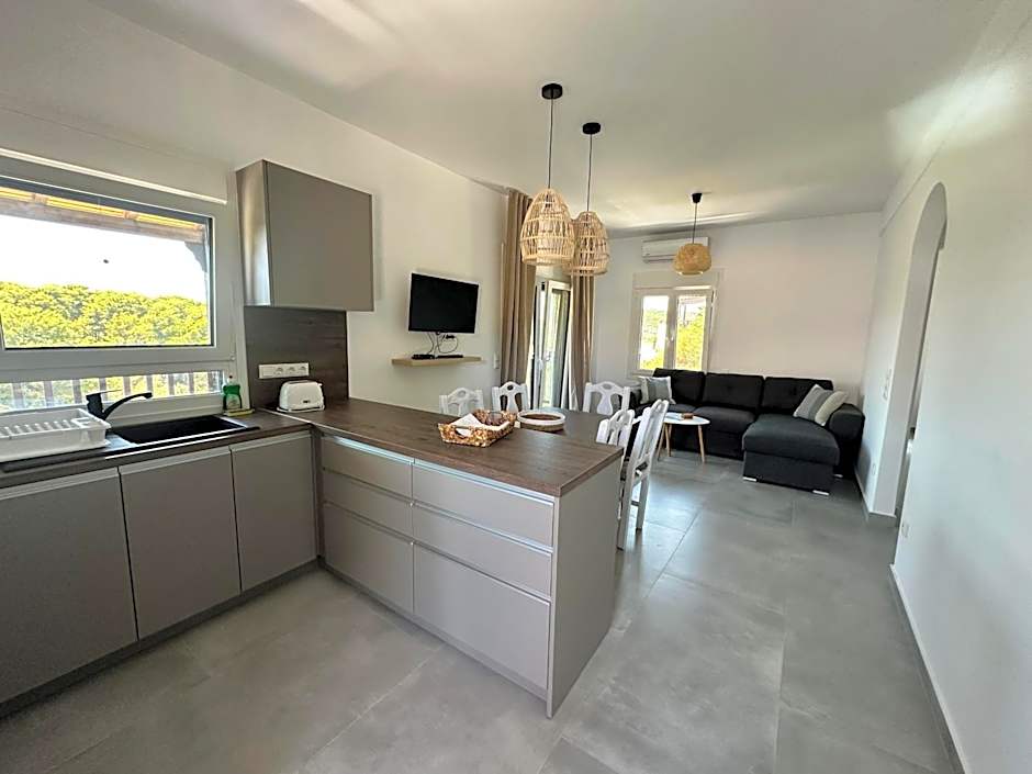 Pandora Studios Skiathos