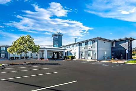 Spark by Hilton Williams