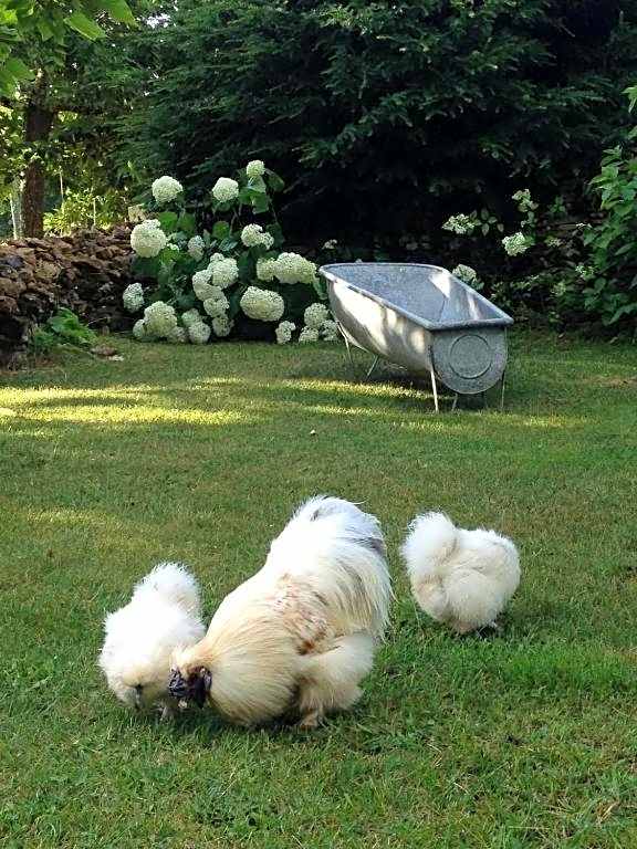 Ma maison de couture