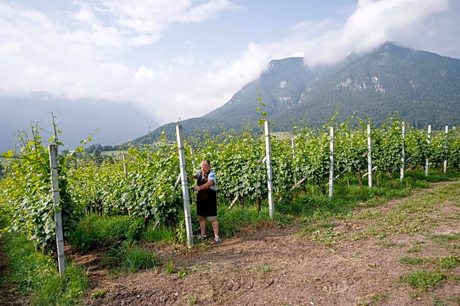 Agritur Maso alle Rose B&B e Restaurant