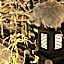 Kinosaki Yamamotoya