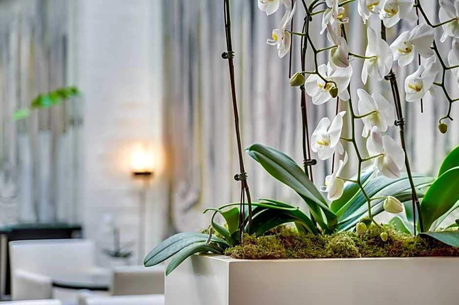 Exclusive Hotel Le A