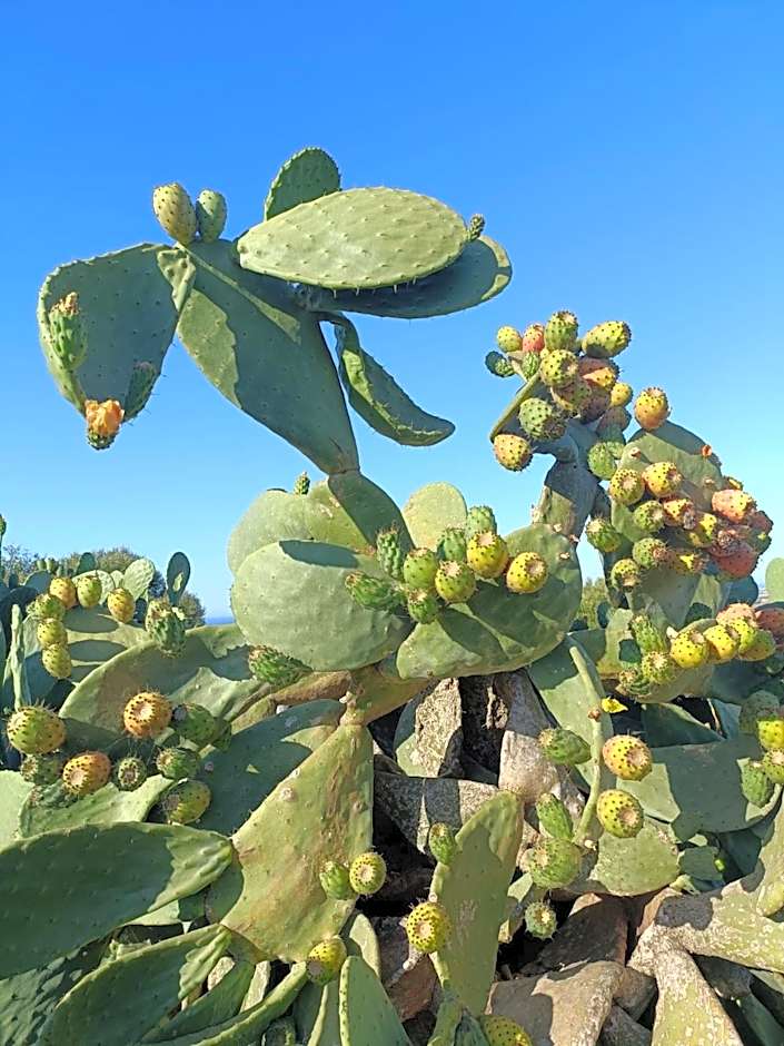 Lispusada Agriturismo Adults Only