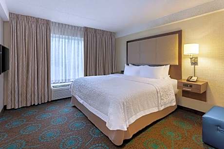 1 KING BED 1 BEDROOM SUITE NONSMOKING