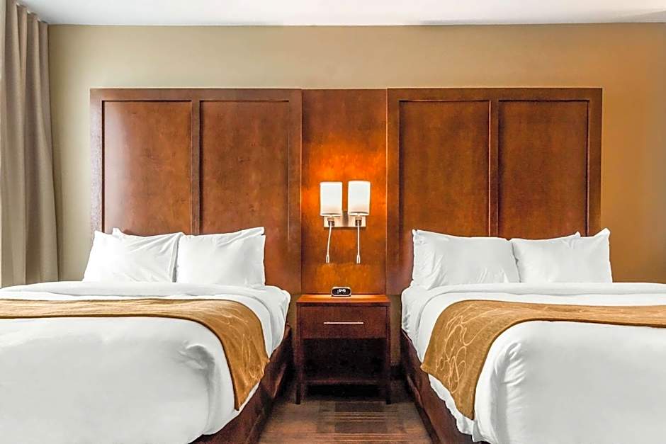 Comfort Suites University