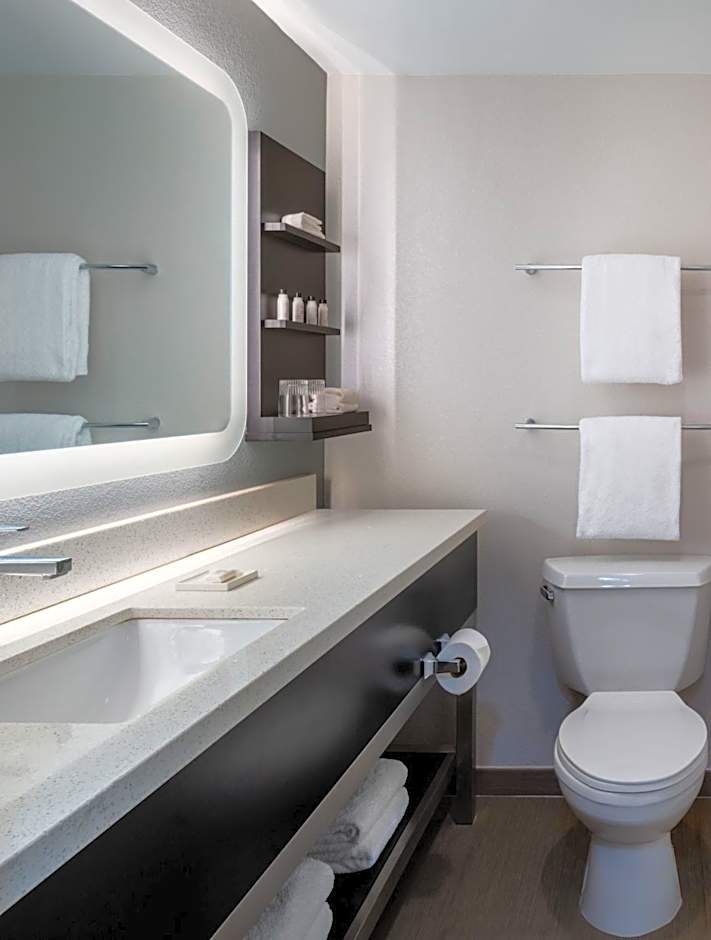 Delta Hotels by Marriott Jacksonville Deerwood