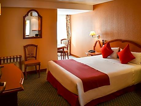 Superior Room with a double bed