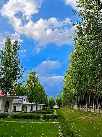 Solis Wellness Retreat