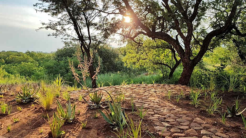 Esther's Country Lodge